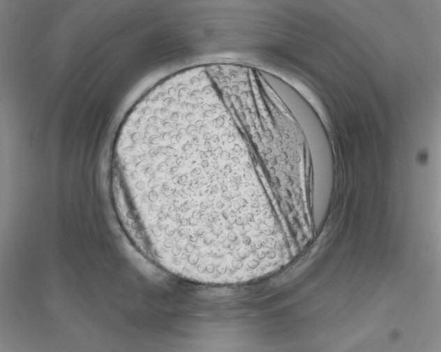 X0000116871054201002021123