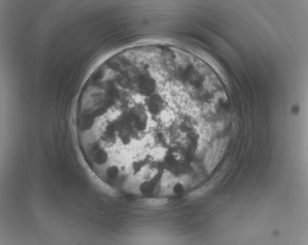 X0000116871055201002021123