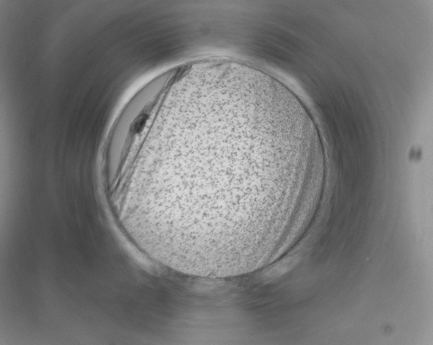 X0000116871056201002021123