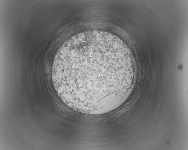 X0000116871058201002021122