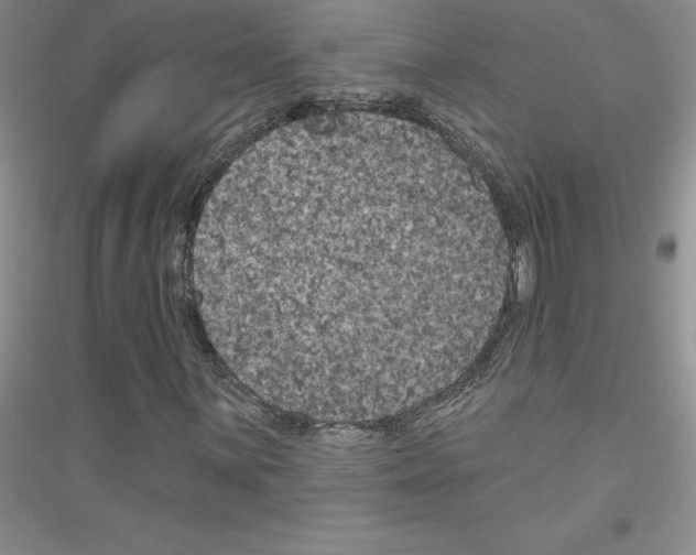 X0000116871059201002021122