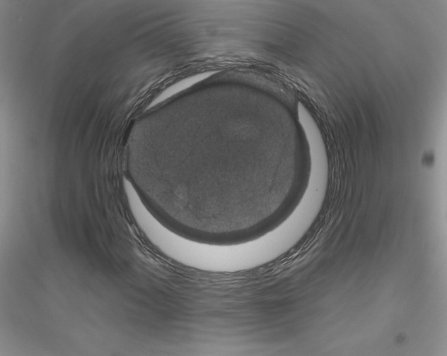 X0000116871060201002021122