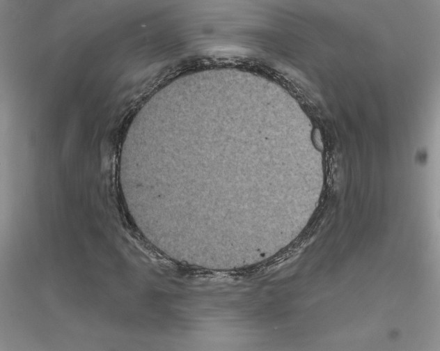 X0000116871061201002021122