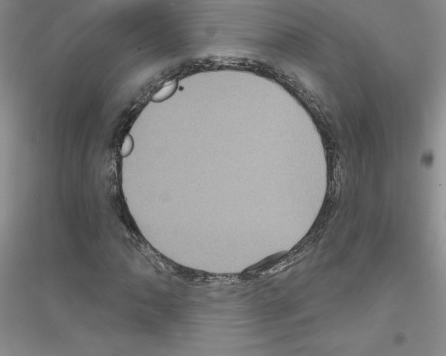 X0000116871062201002021122