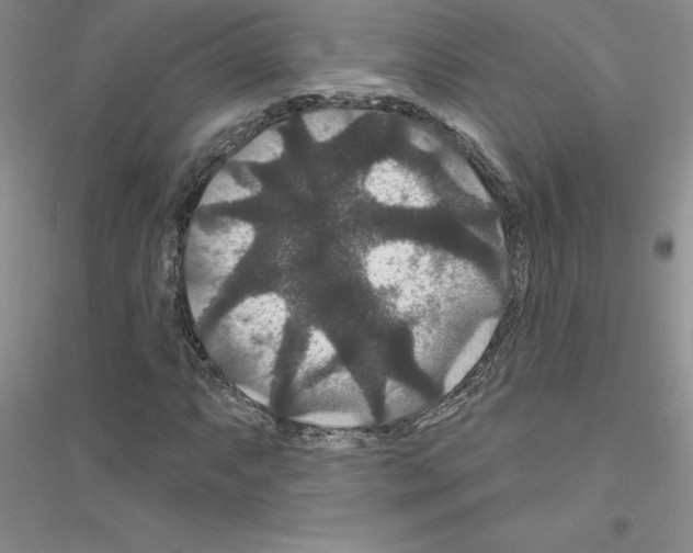 X0000116871063201002021122