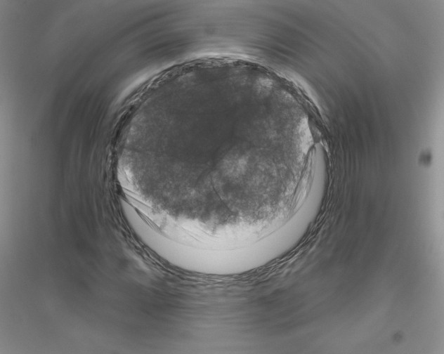 X0000116871064201002021122