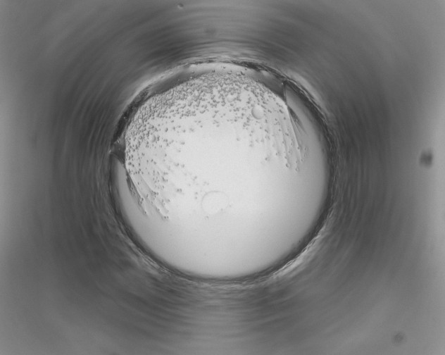 X0000116871065201002021122