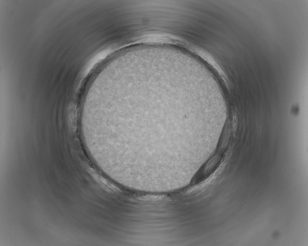 X0000116871067201002021122