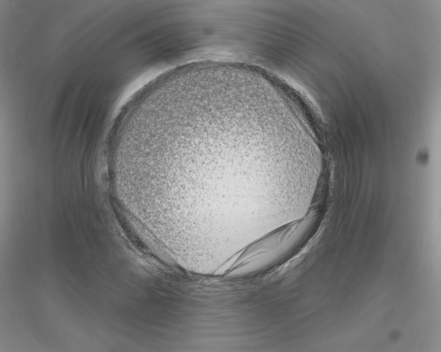 X0000116871070201002021122