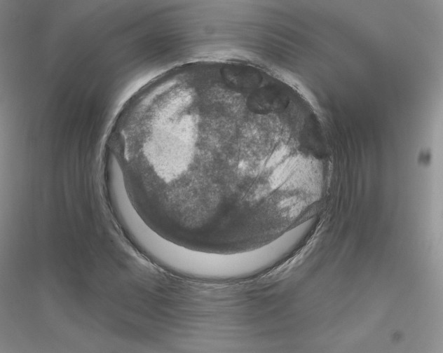 X0000116871071201002021122