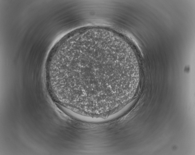 X0000116871072201002021122