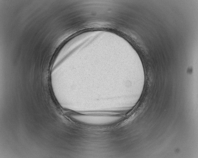 X0000116871073201002021122