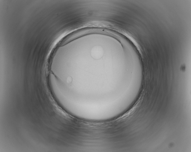 X0000116871075201002021122