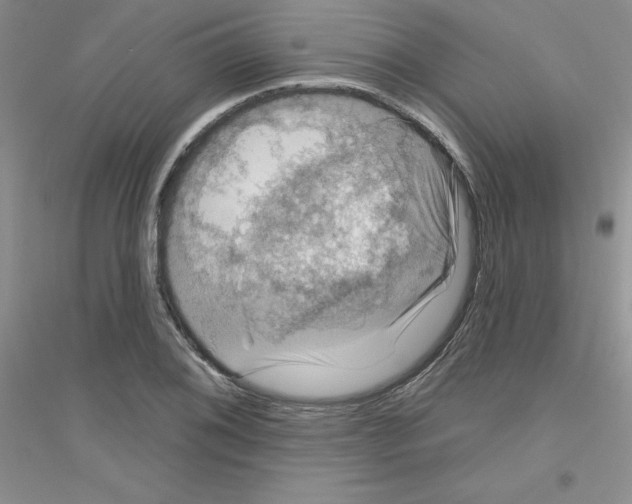 X0000116871076201002021122
