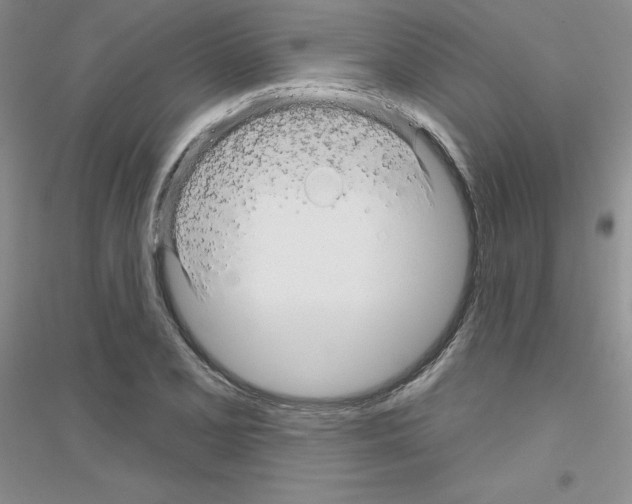 X0000116871077201002021122