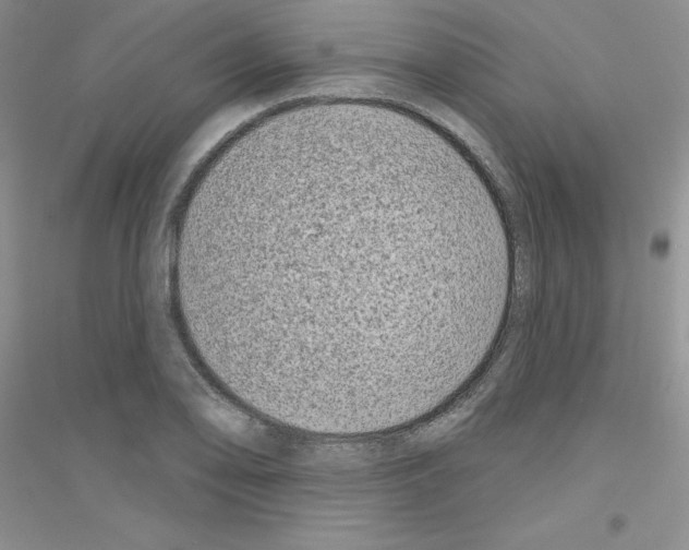 X0000116871078201002021122