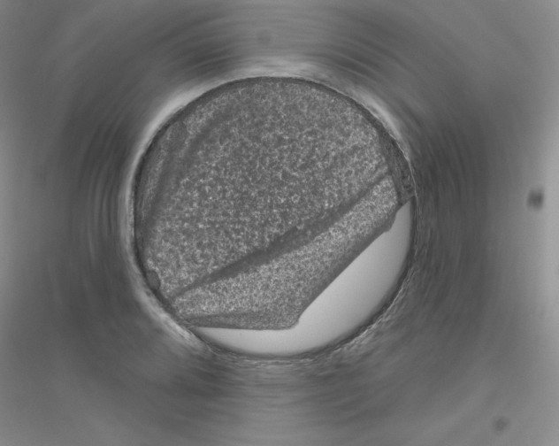 X0000116871080201002021122