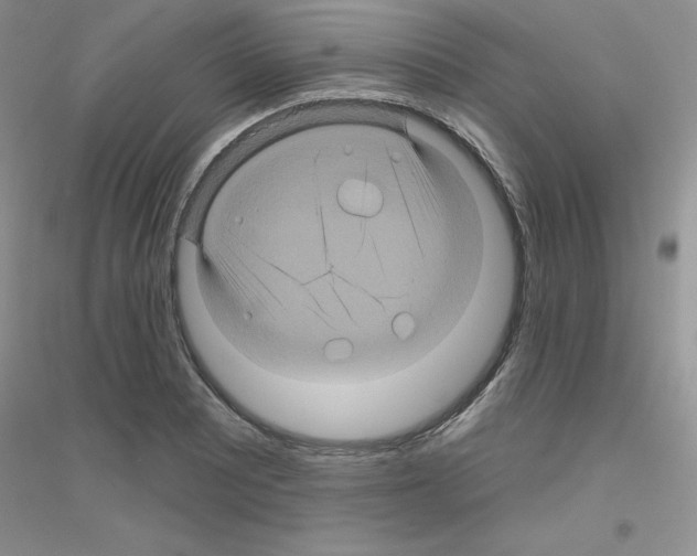 X0000116871081201002021122