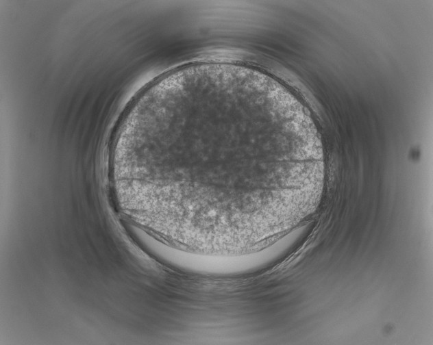 X0000116871083201002021122