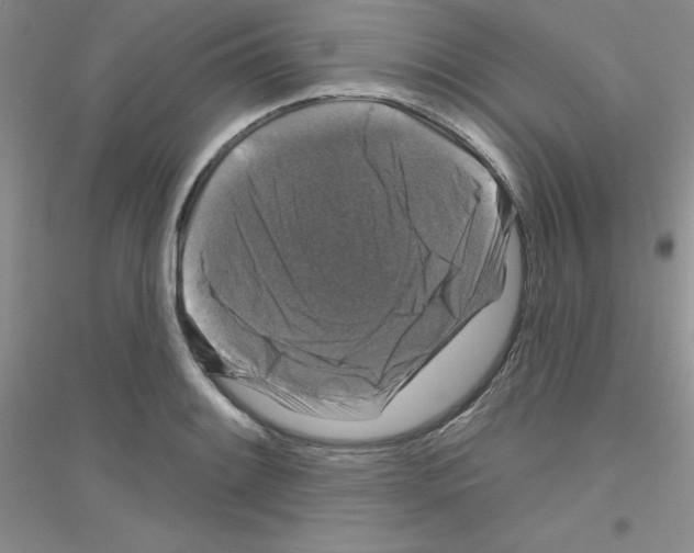 X0000116871084201002021122