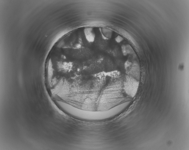 X0000116871087201002021122