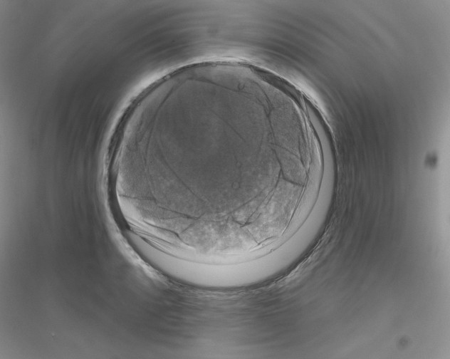 X0000116871088201002021122