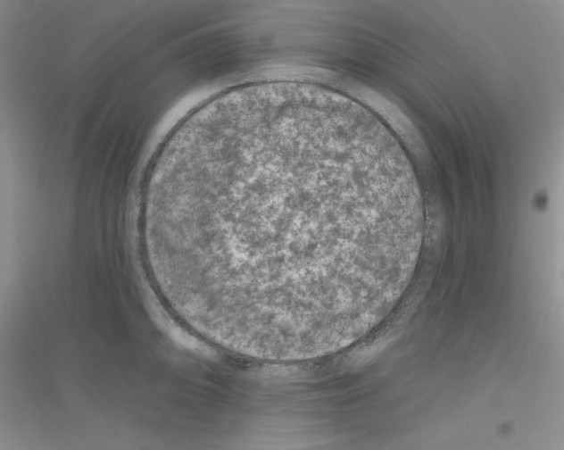 X0000116871094201002021122