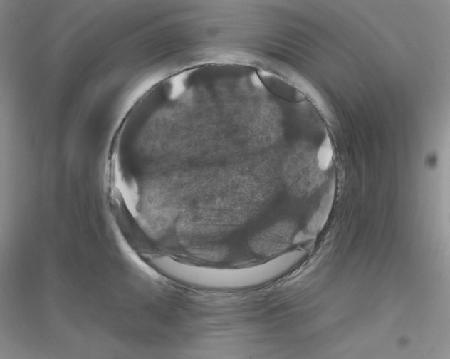 X0000116871095201002021122