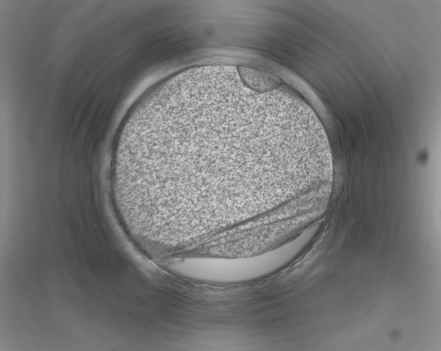 X0000116871099201002021122