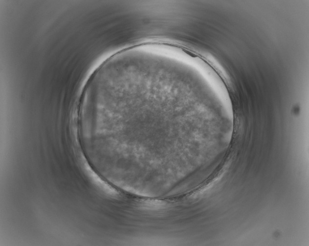 X0000116871100201002021122
