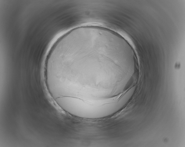 X0000116871104201002021122