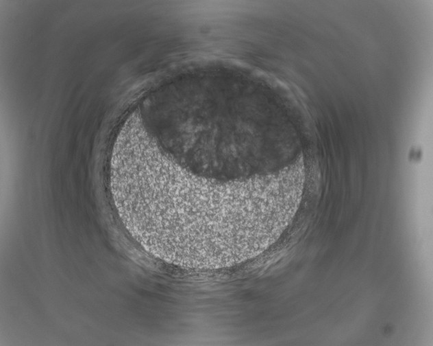 X0000116871105201002021121
