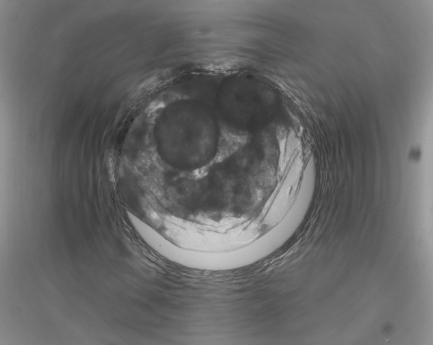 X0000116871106201002021121