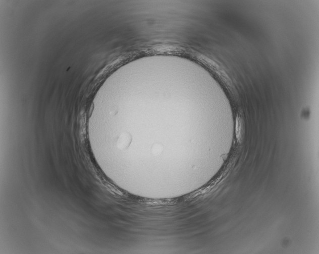 X0000116871107201002021121