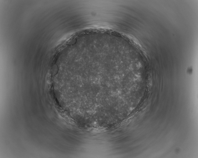 X0000116871110201002021121