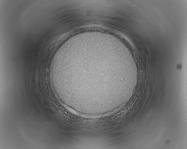 X0000116871111201002021121