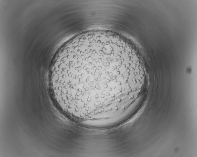 X0000116871113201002021121
