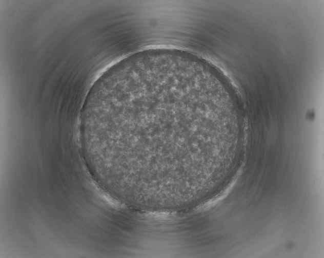 X0000116871121201002021121