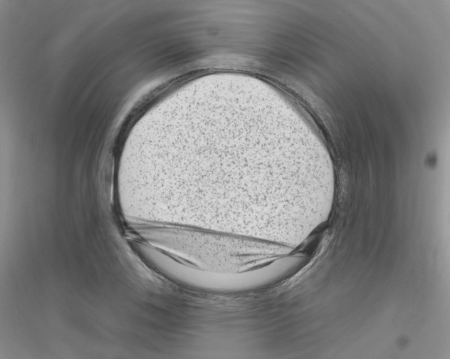 X0000116871123201002021121