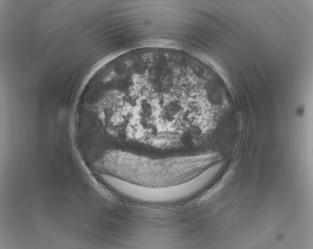 X0000116871125201002021121