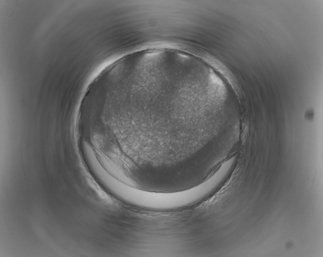 X0000116871127201002021121