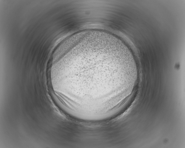 X0000116871129201002021121