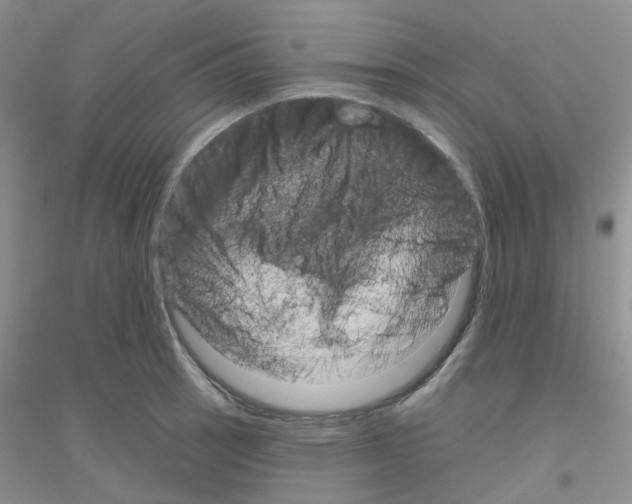 X0000116871137201002021122