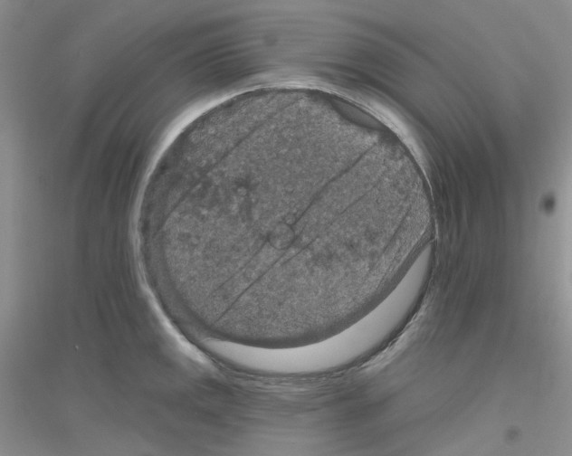 X0000116871141201002021122