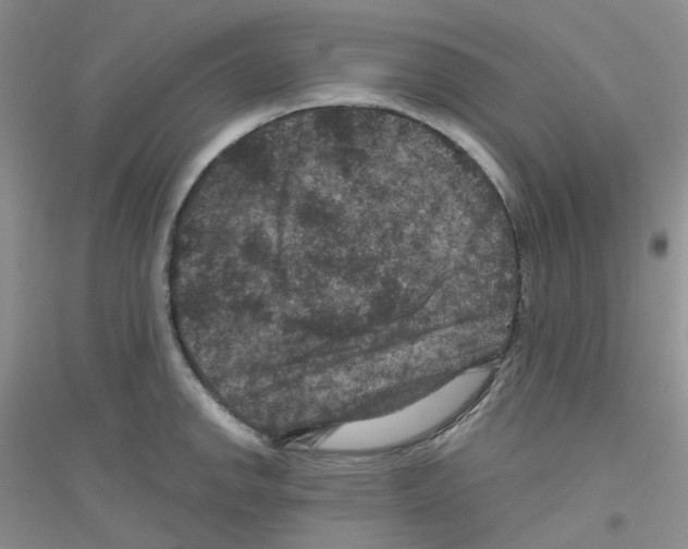 X0000116871142201002021122