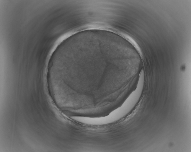 X0000116871146201002021122