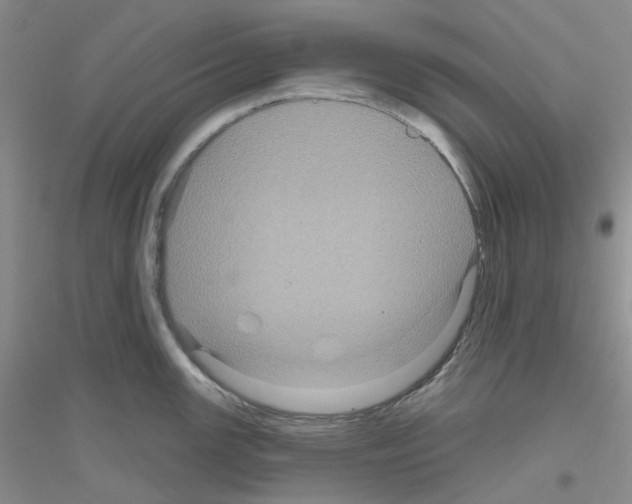 X0000116871147201002021122