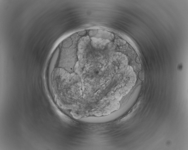 X0000116871149201002021122