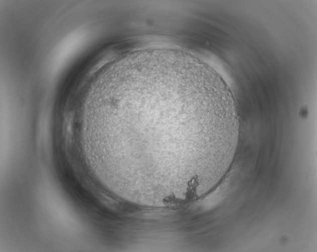 X0000116871150201002021122