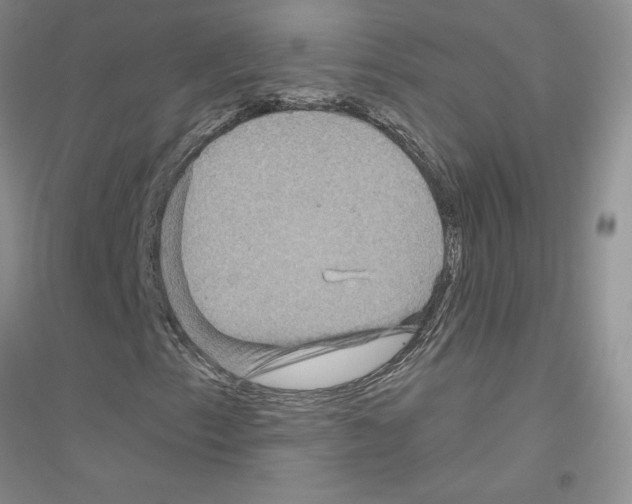 X0000116871153201002021121
